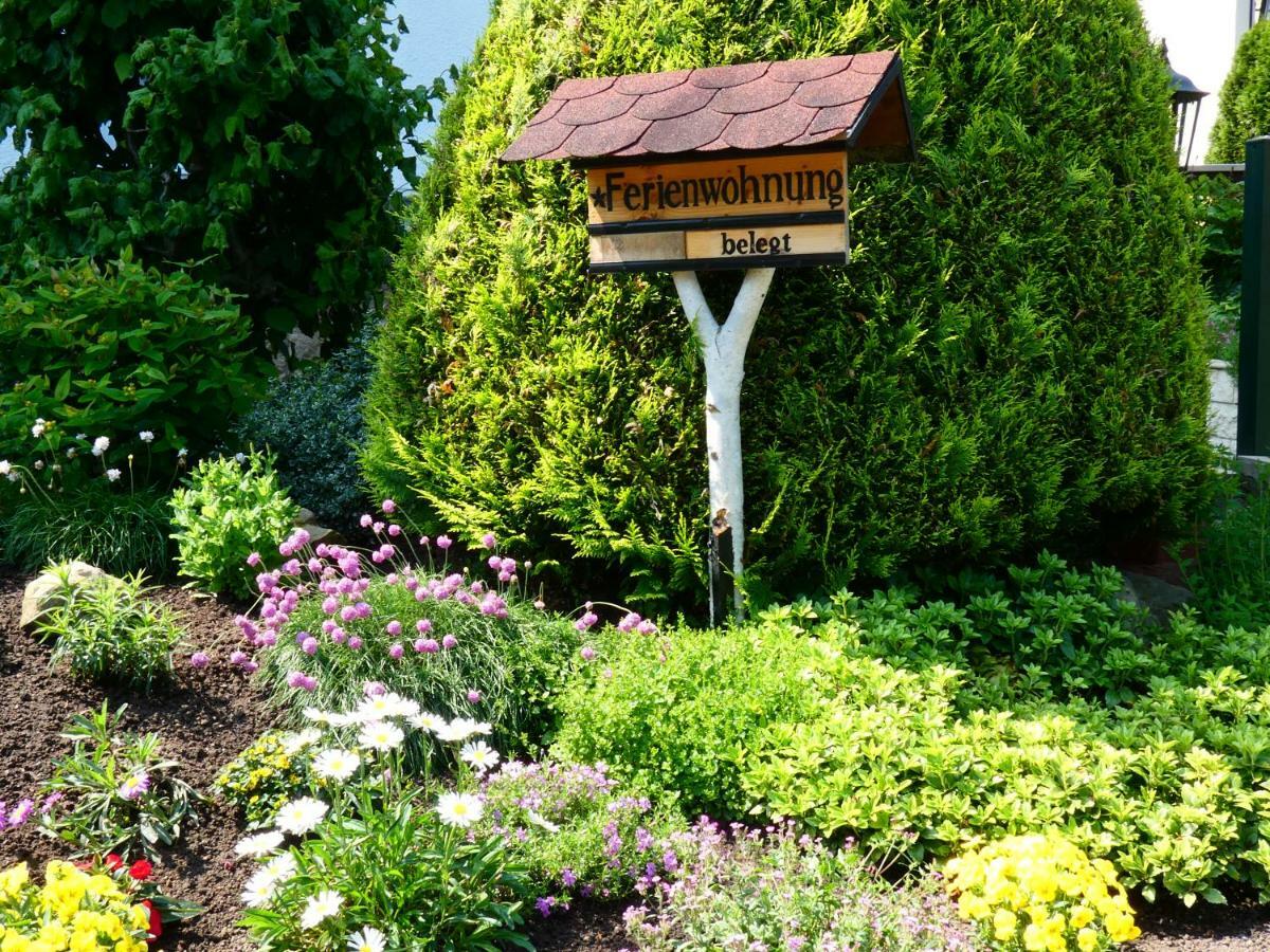 Ferienwohnung Grunwald Kurort Rathen Exterior foto